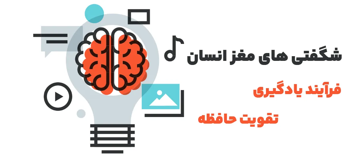مغز انسان در یادگیری
